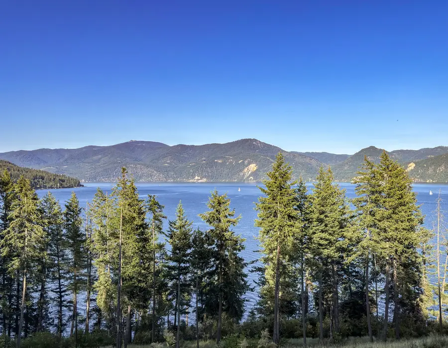 Rural forest landscape near Athol, Kootenai County